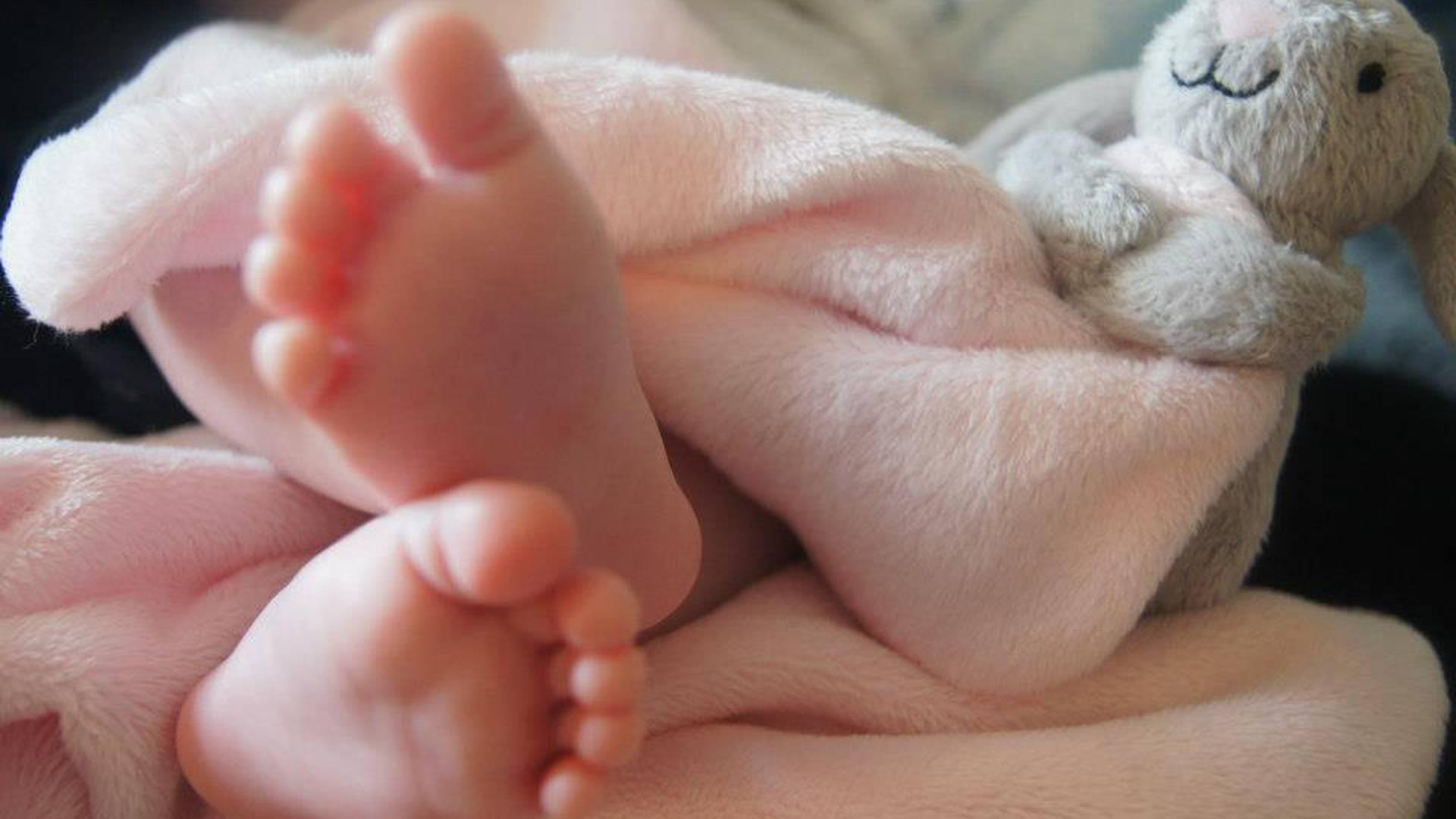 Angelic Little Ones photo
