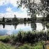 Activity image