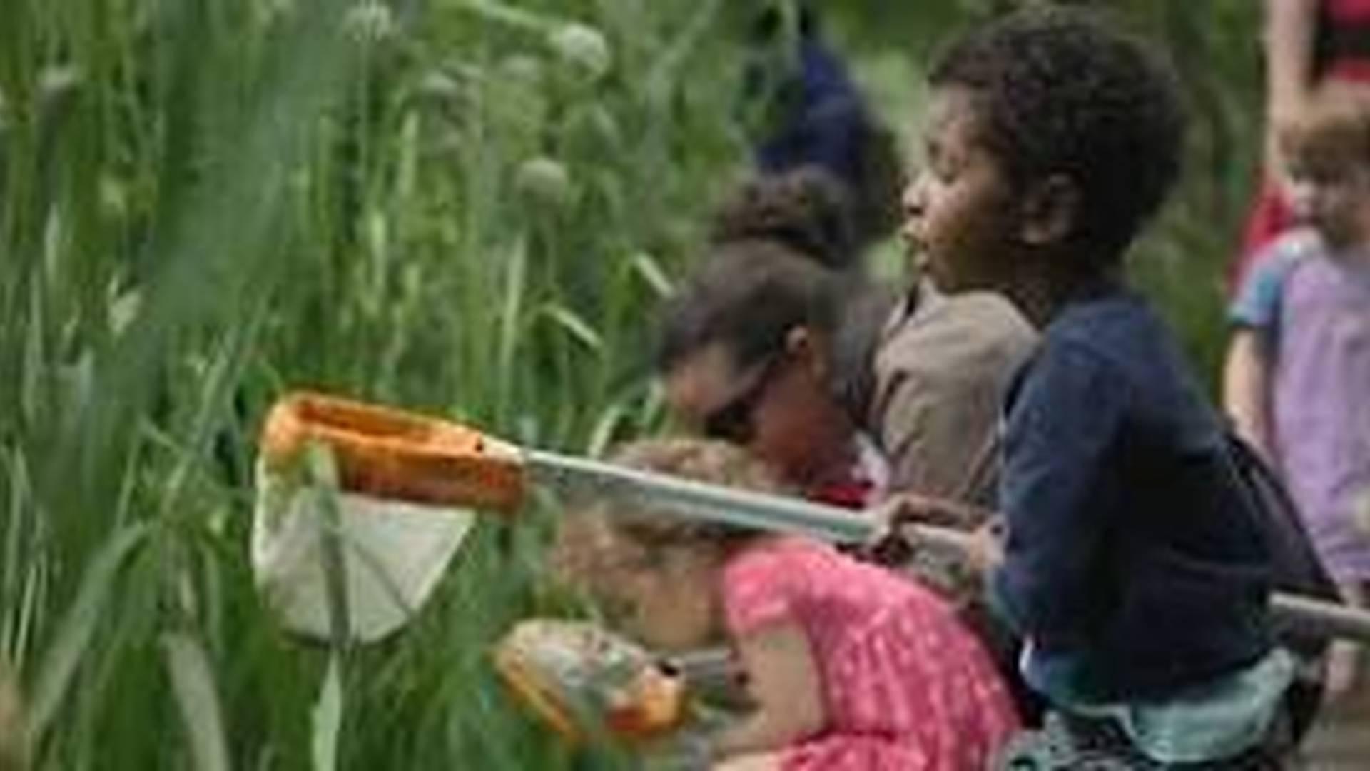 Centre for Wildlife Gardening Family Day, Pond Life photo