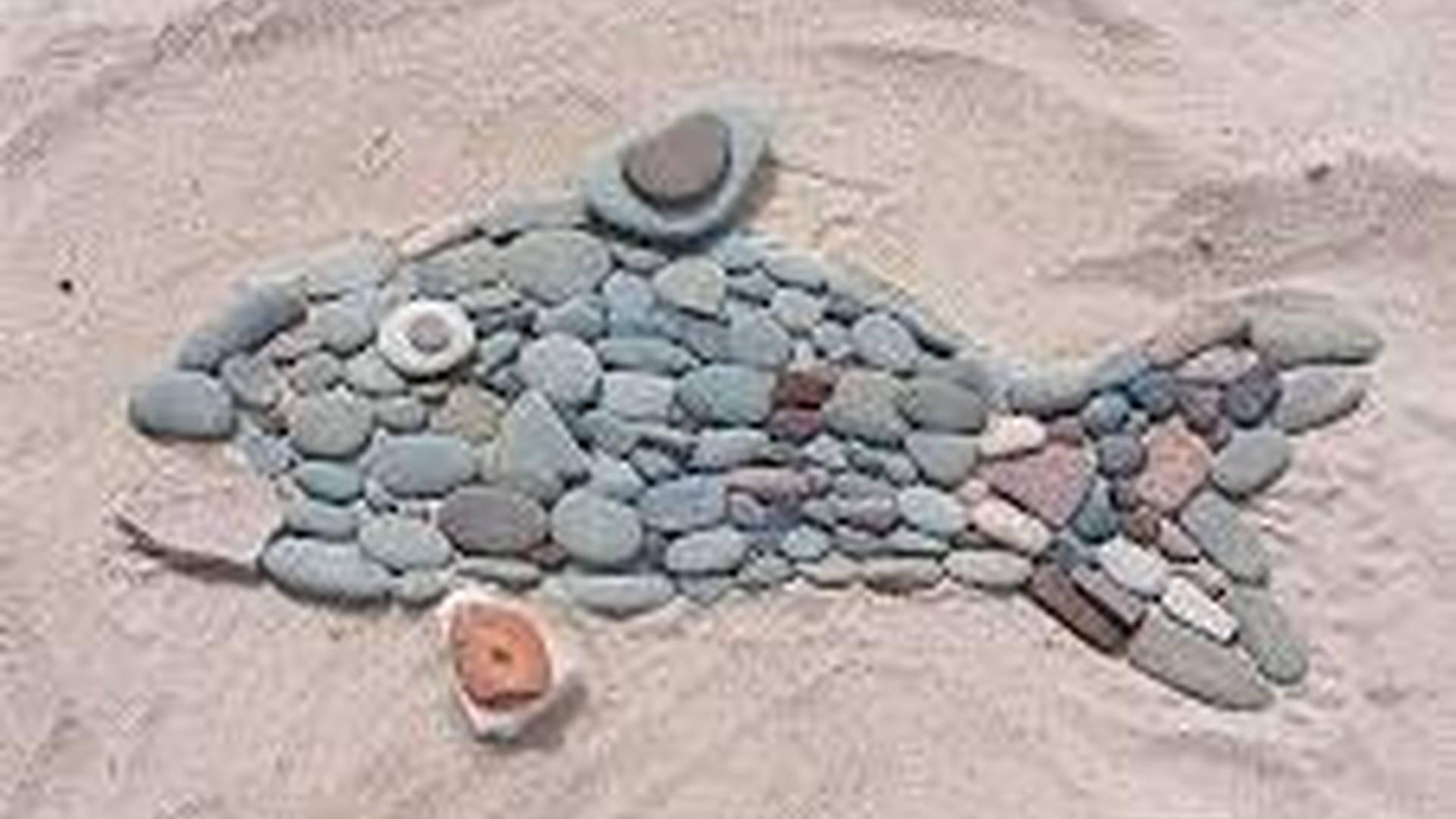 Beach Explorer Family Fun Day- FREE photo