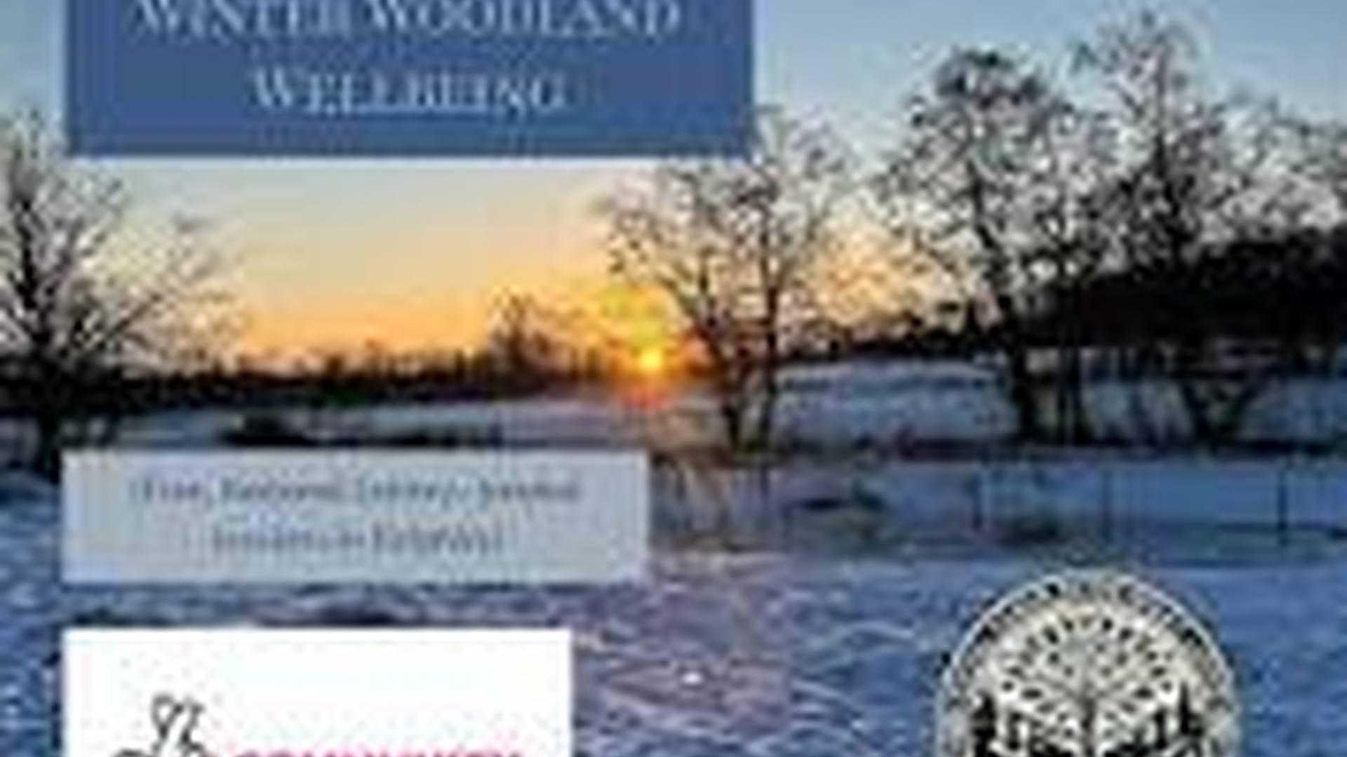 Calm in the Wild: Free Nature-Based Wellbeing Sessions for Adults (BD20) photo