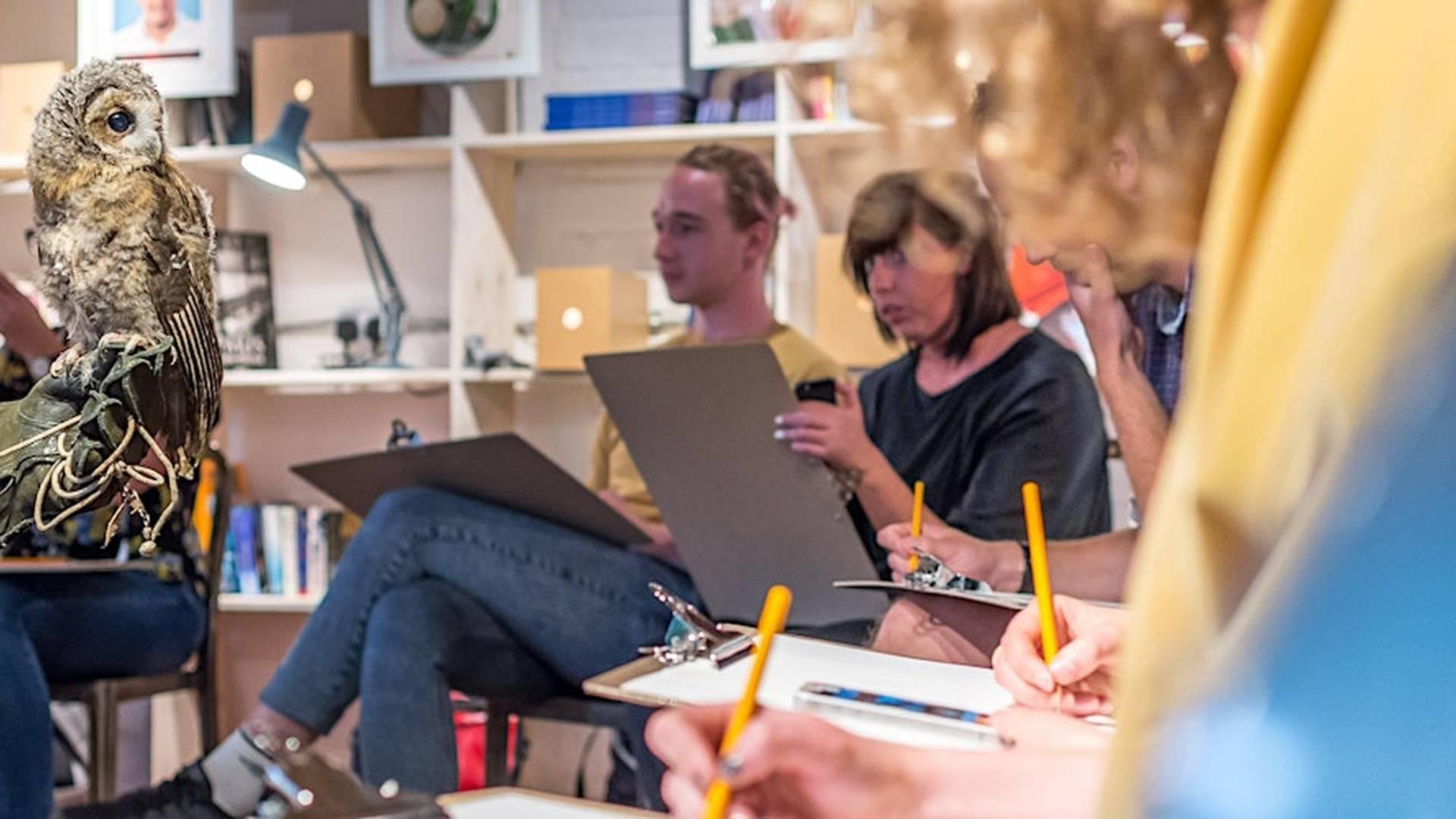 Wild Life Drawing at Walthamstow Wetlands photo