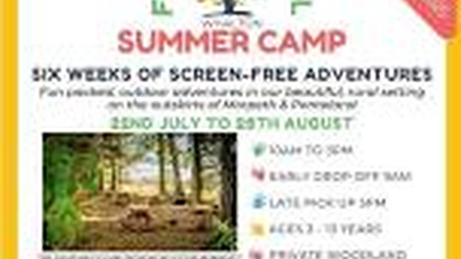 Summer Camp at PAWS Whalton photo