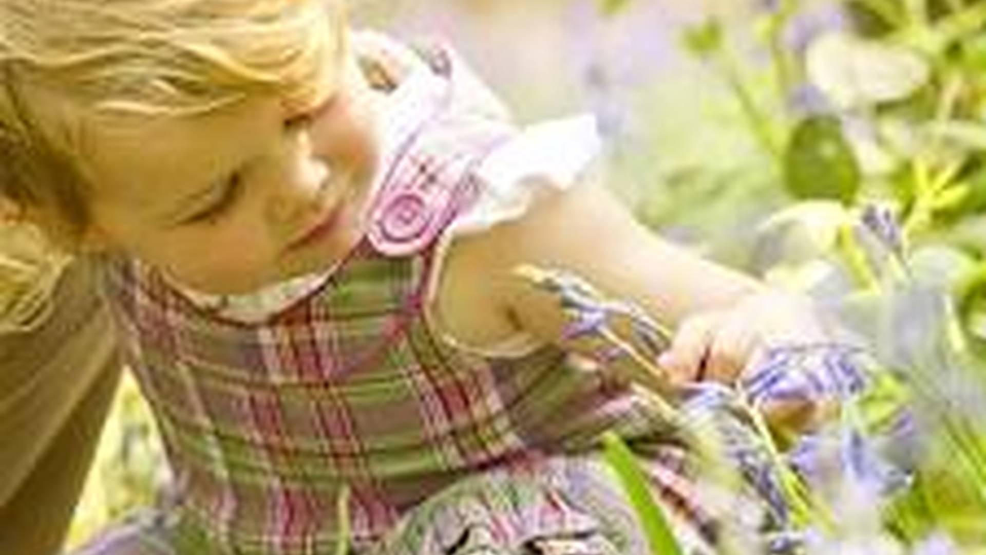 Grange Farm Nature Tots (Wednesday) photo