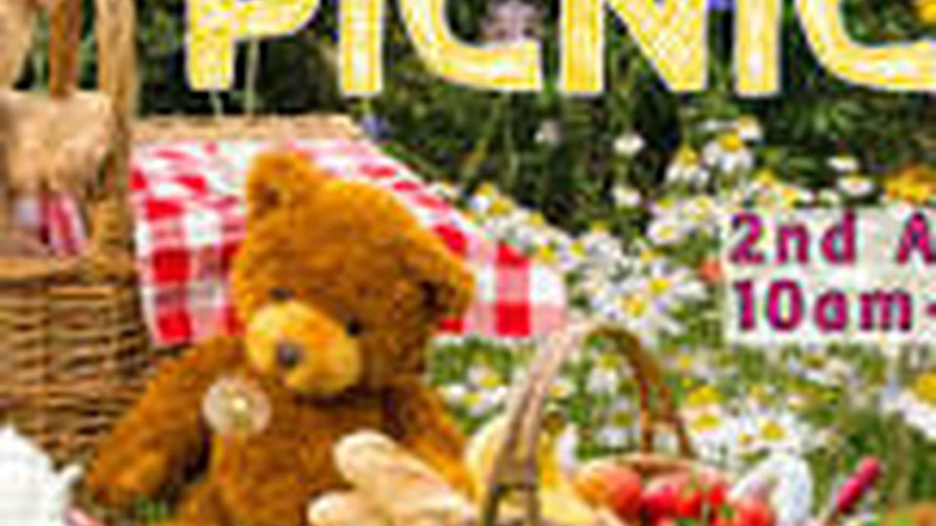 Summer 2024 Toddler Forest School: Teddy Bear's Picnic photo