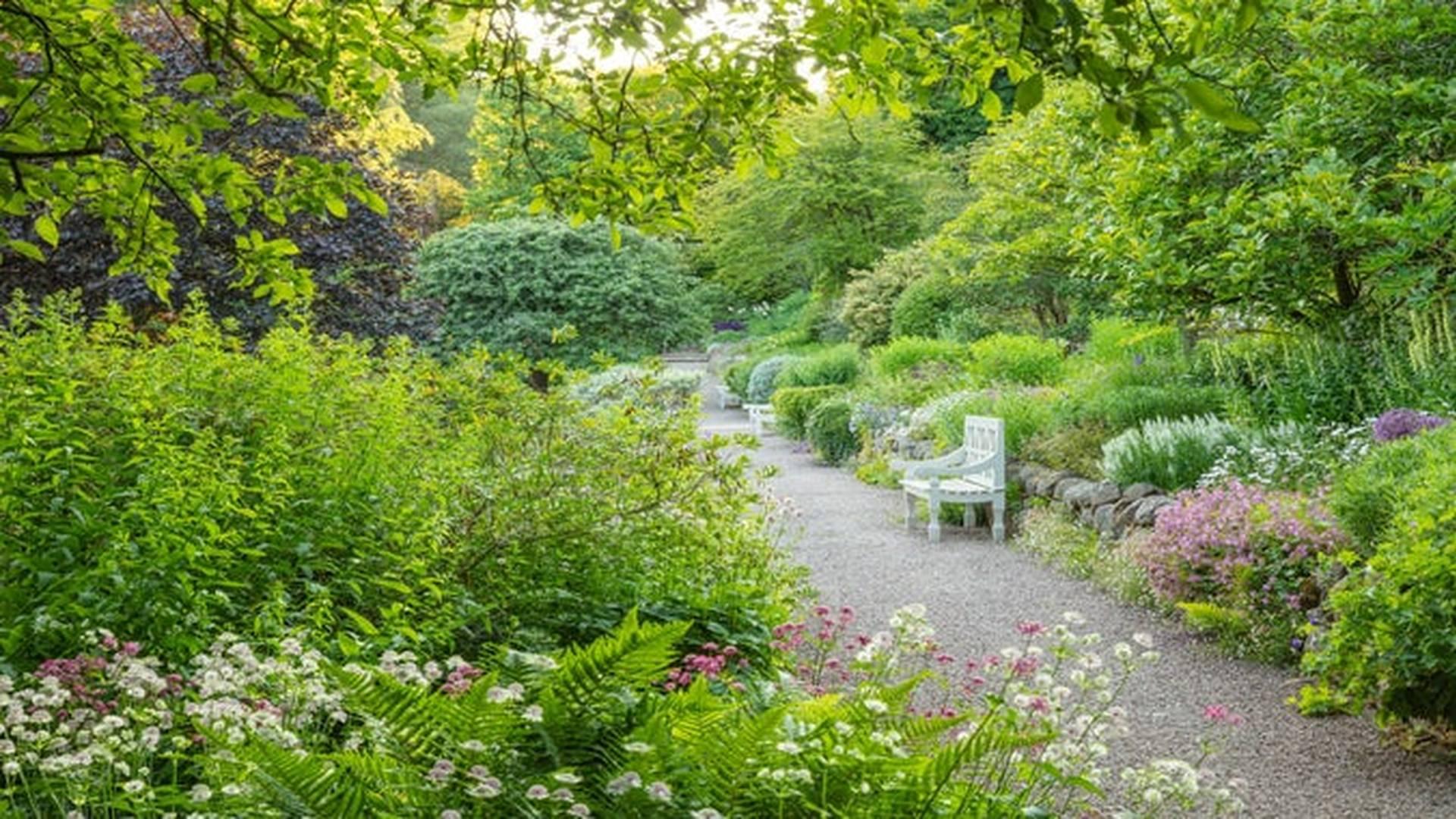 Tunes in the blooms - summer music at Wallington photo