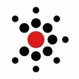 Berkshire Maestros - Bracknell Music Centre logo
