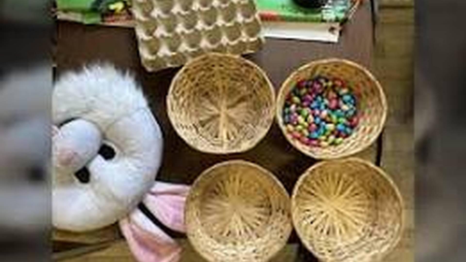 Easter Holiday Clubs: Kids Outdoor Adventures & Games - The Outdoors Project photo