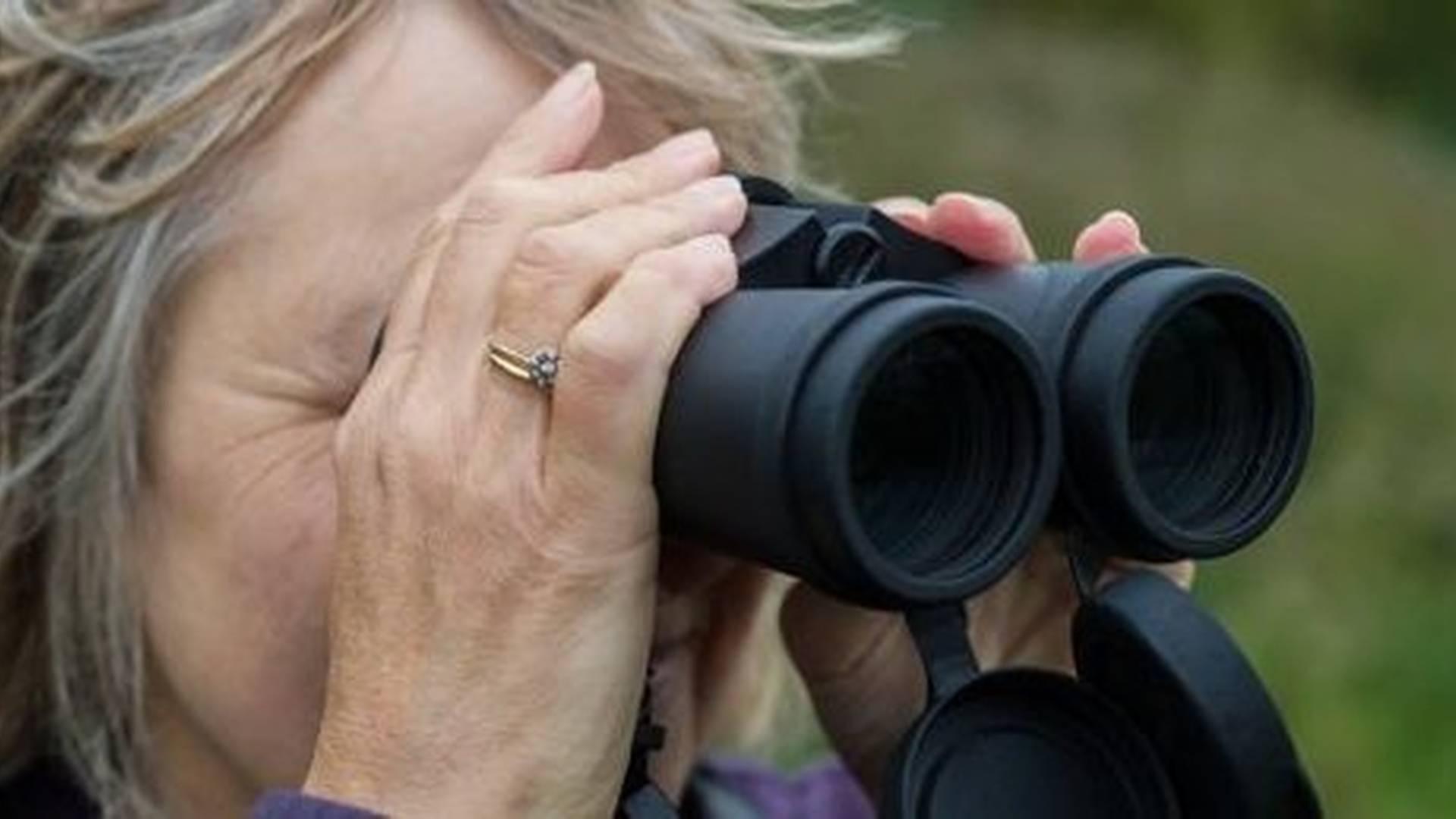 Guide in the hide photo