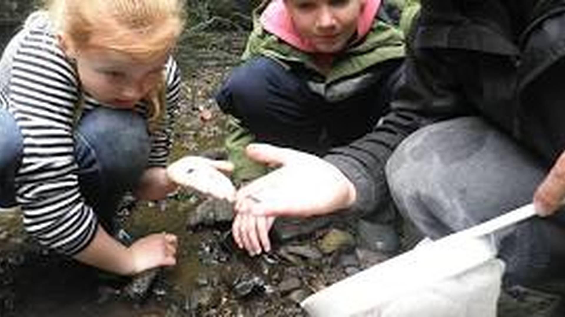 River Dipping - Kids Event photo