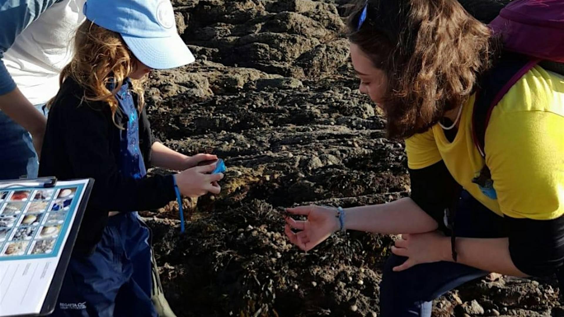 Big Rock Pool Challenge: Bioblitz Battle January 2025 (Plymouth) photo