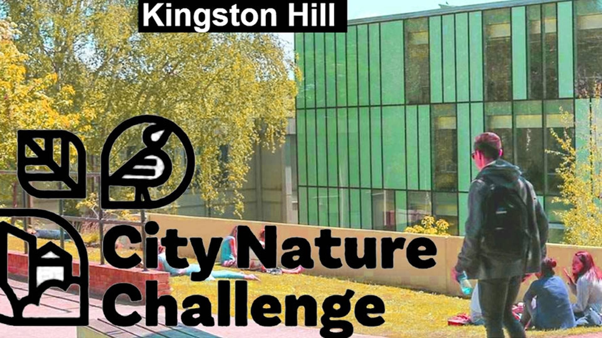 City Nature Challenge 2026 - Kingston Hill & Dorich House photo