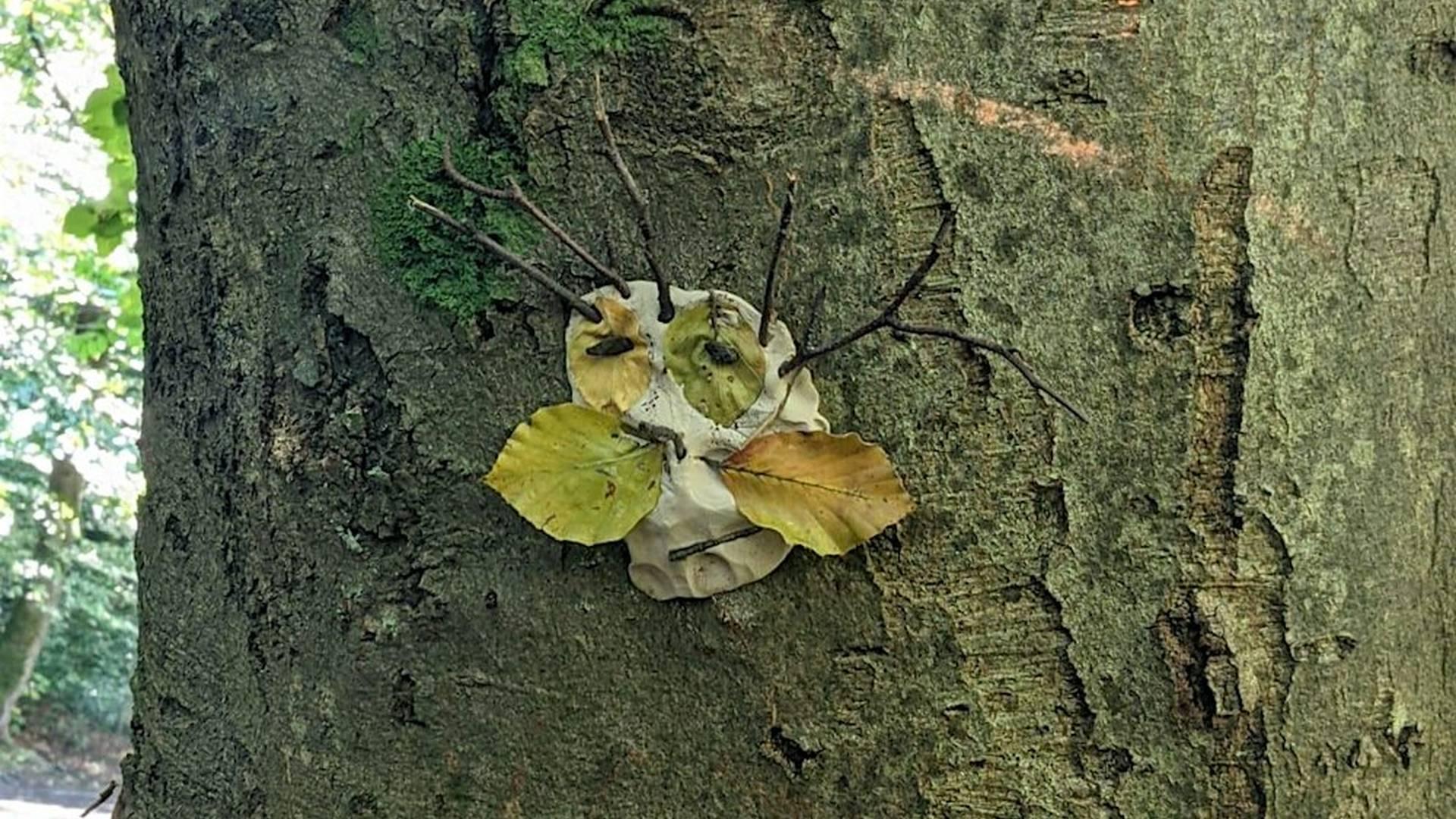 Wellbeing Woodland Walk - Garden Needs (Salford Residents Only) photo