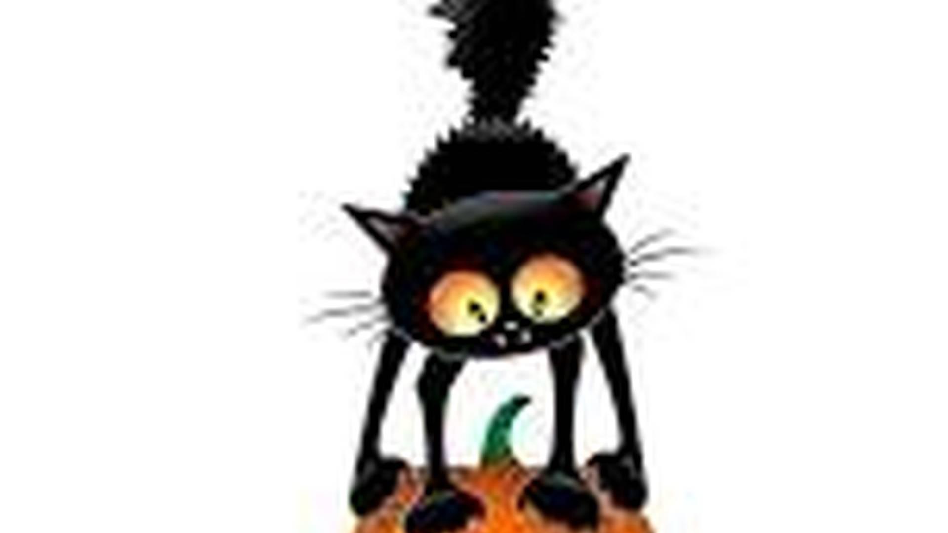 Halloween family drop in — Knockbreda Nursery School photo