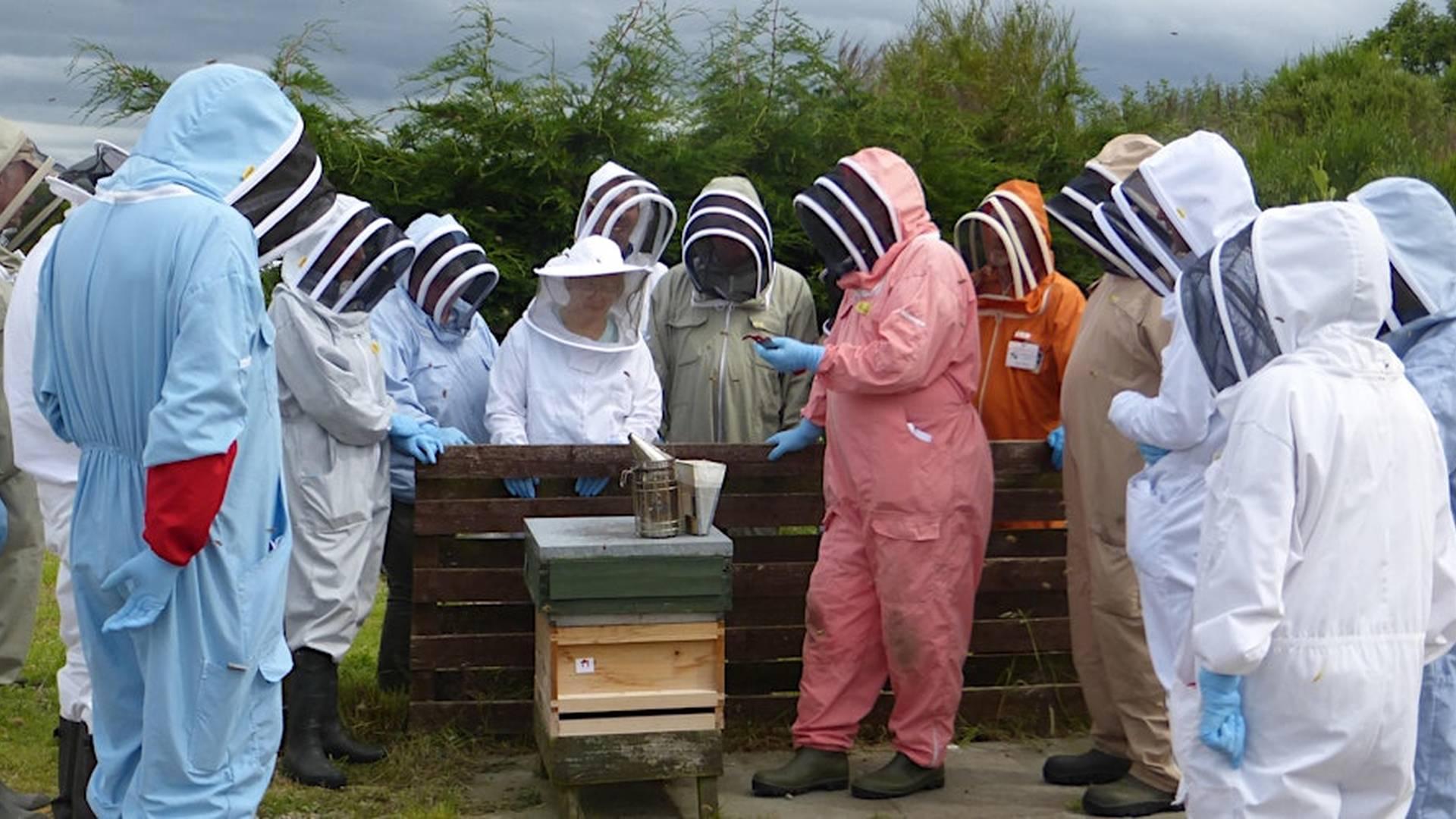 Improvers - Short NDB Course photo