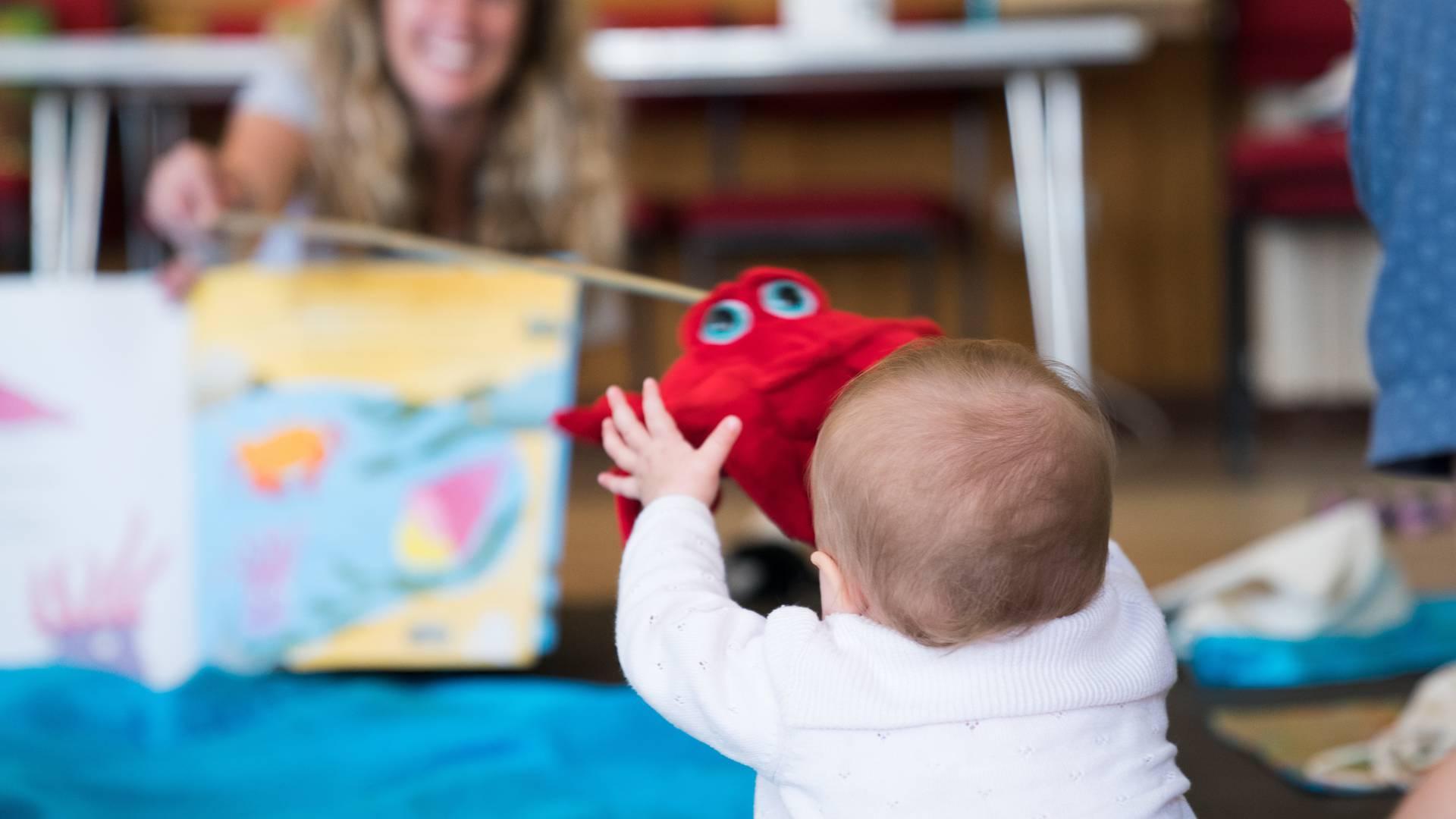 Adventure Babies photo