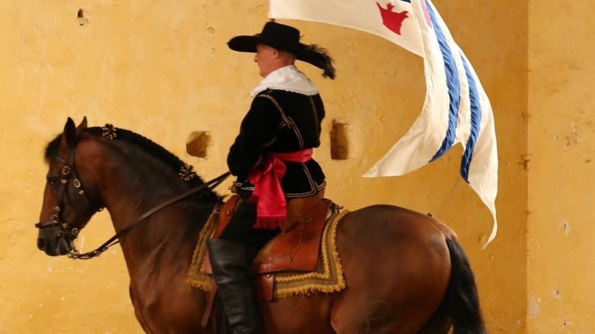 Cavendish Horses: photo