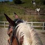 Activity image
