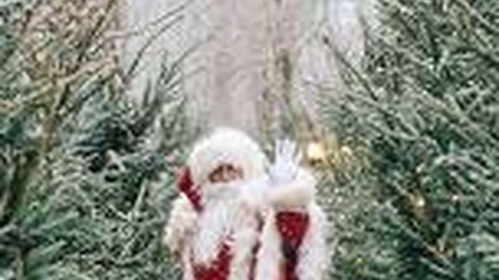 Father Christmas at Bolton Abbey photo