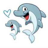 Diddy Dolphins Baby Swim Academy logo