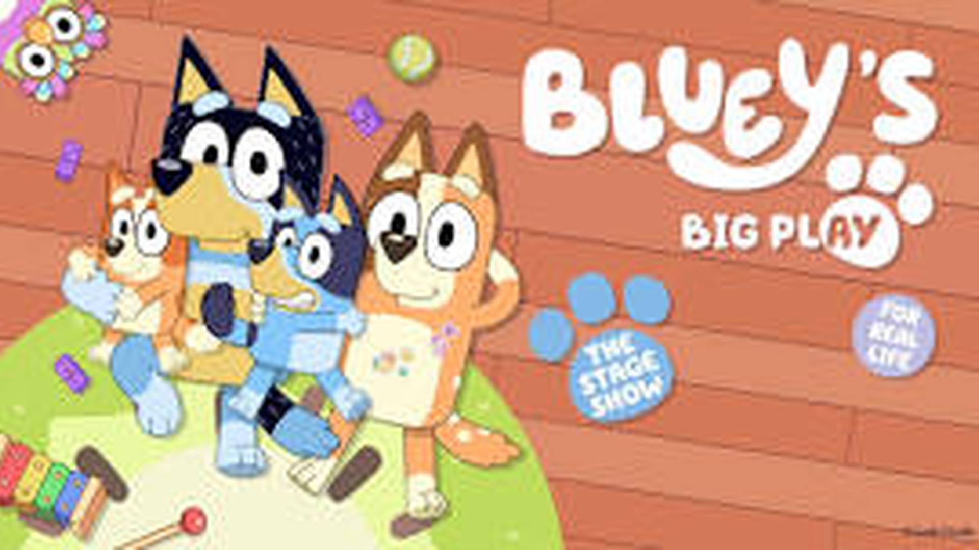 Bluey's Big Play photo
