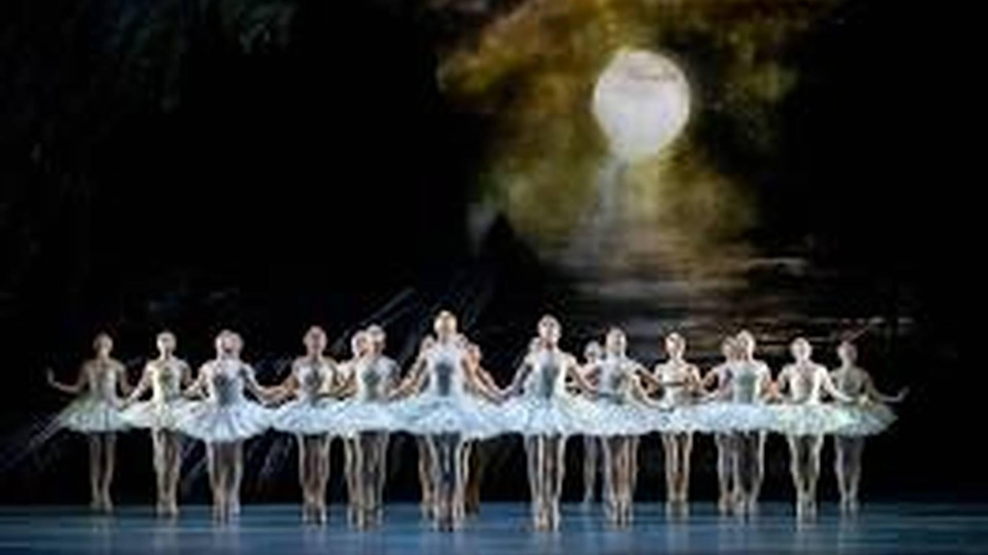 The Royal Ballet: Swan Lake photo