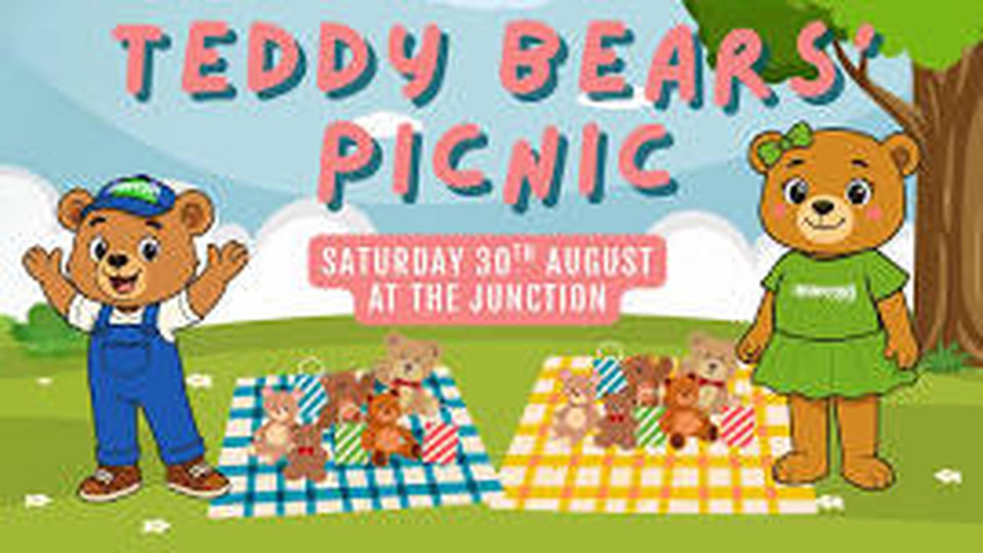 Teddy Bears' Picnic photo