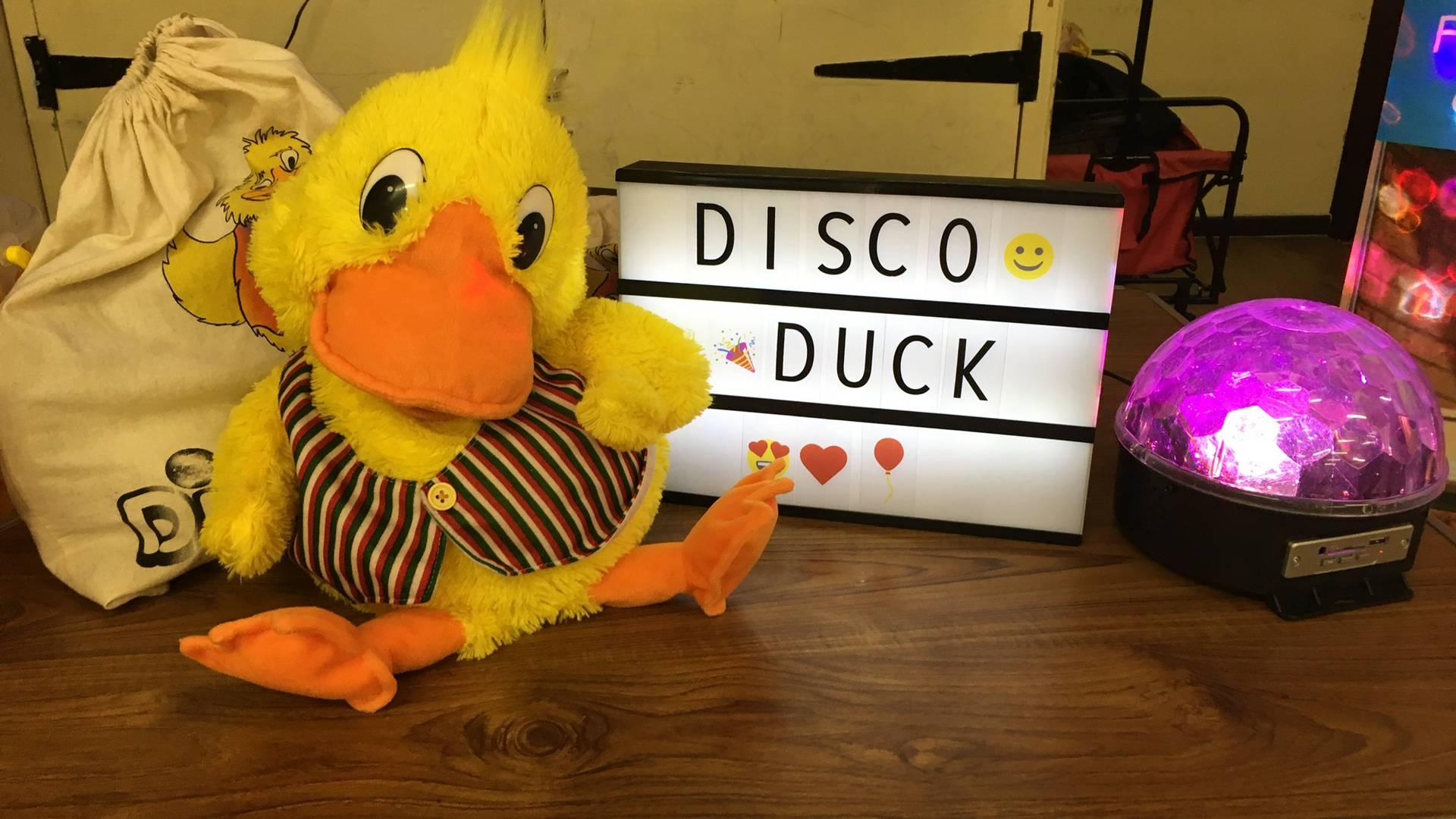 Disco Duck photo