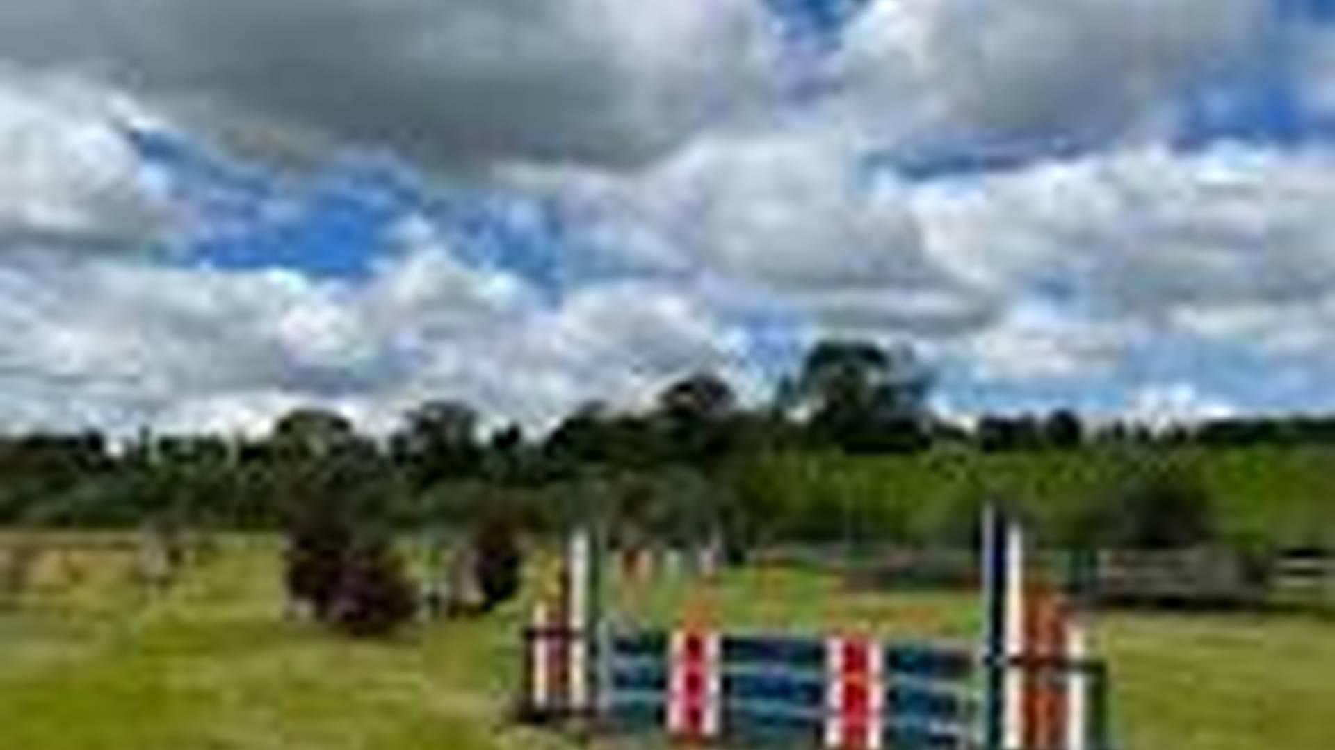 Smithies bridge jumping clinic photo