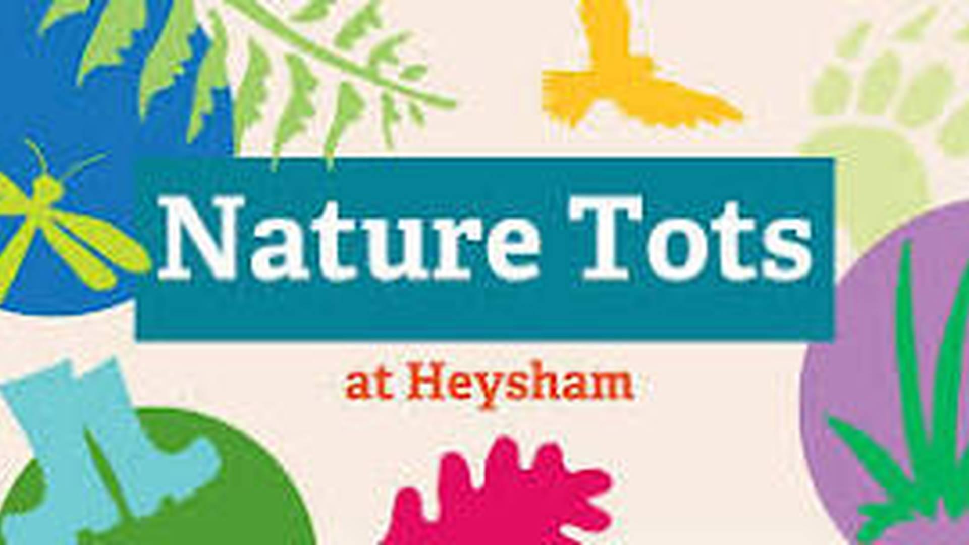 Nature Tots at Heysham Nature Reserve - 28th February 2025 photo