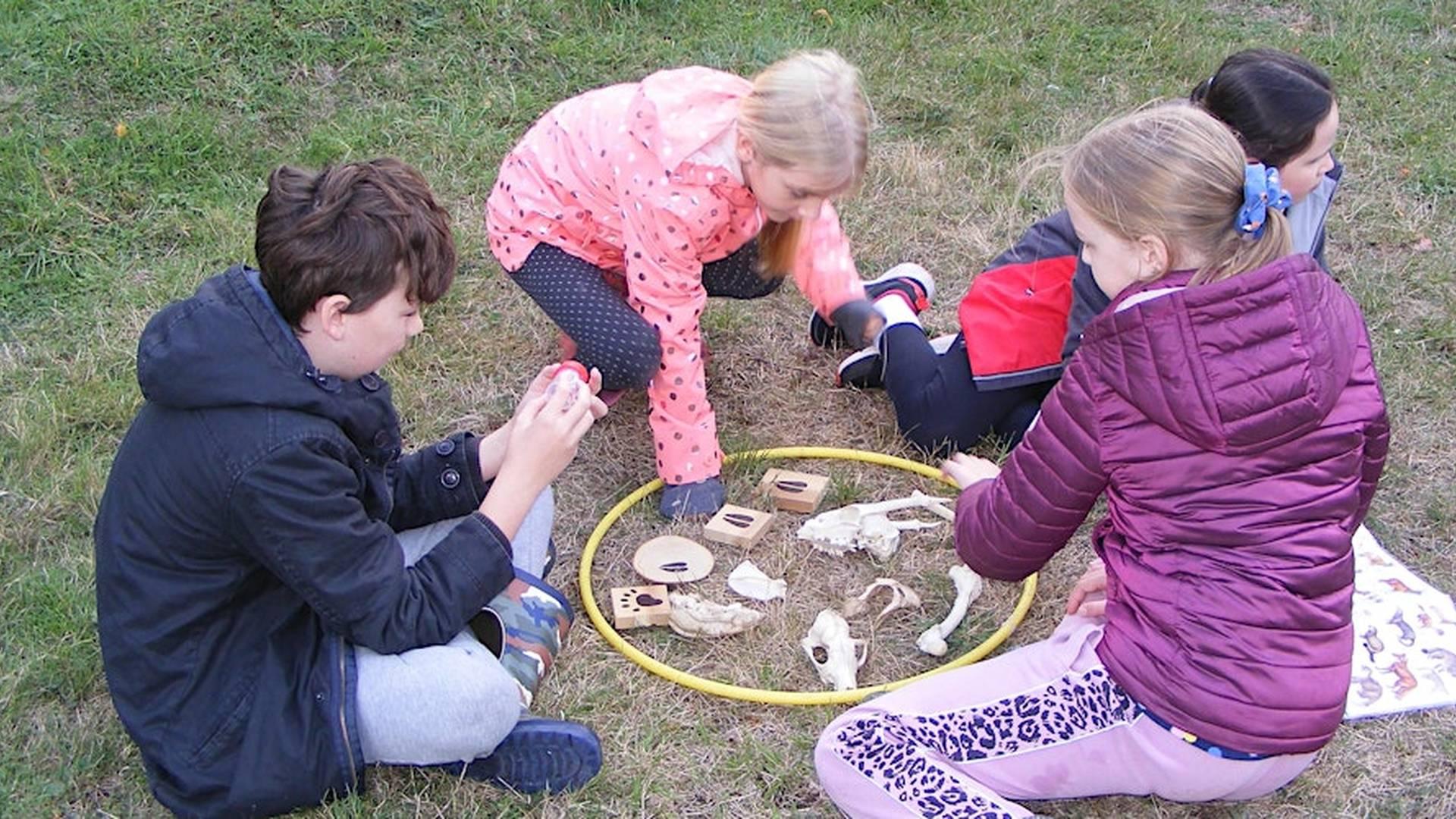 Young Rangers - Nature Discovery Centre, Saturday 18th January photo