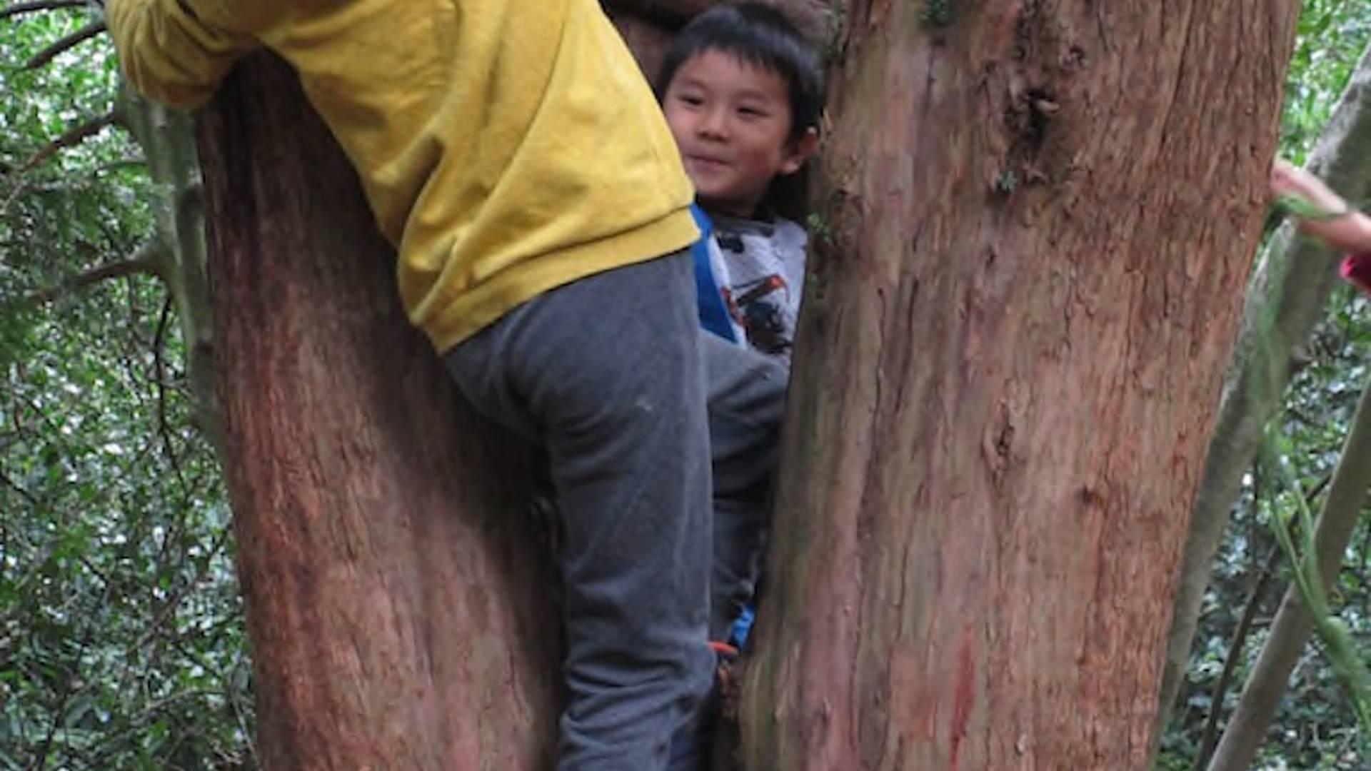 Summer Forest School Fun photo