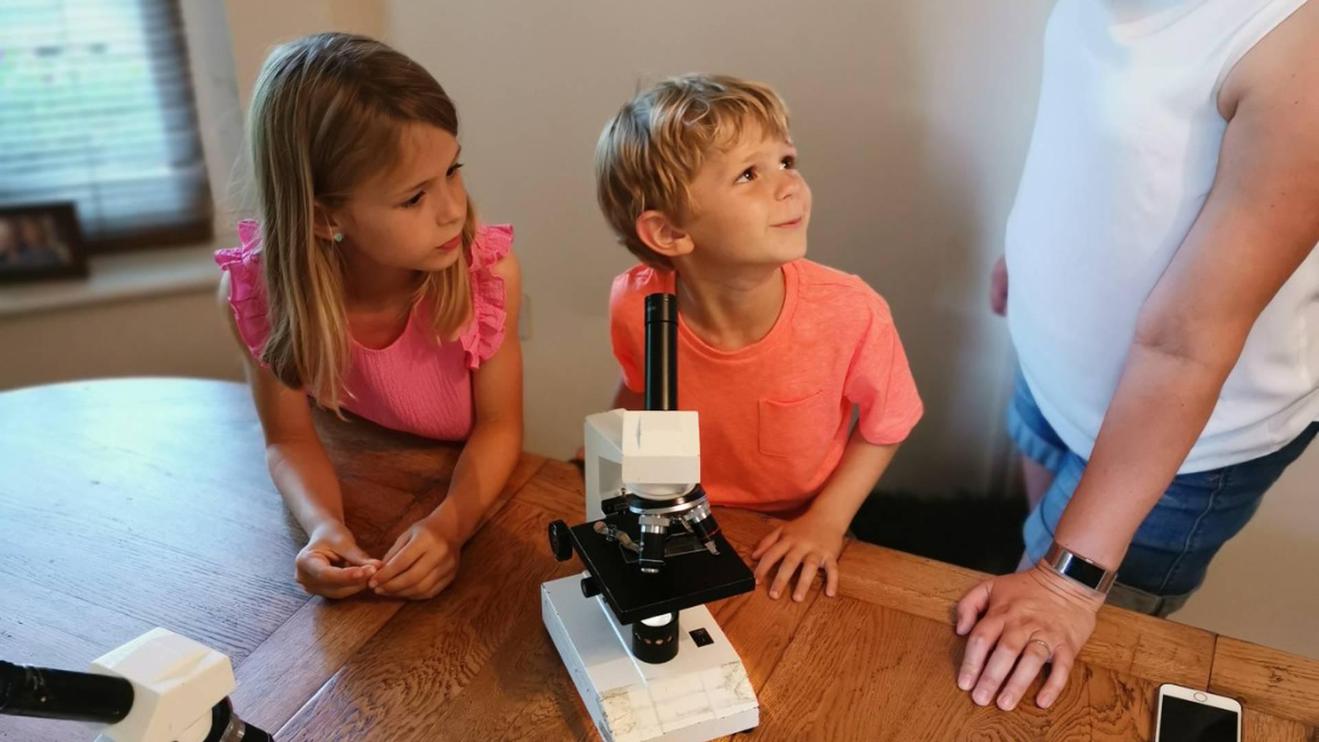 What the Holness Science photo