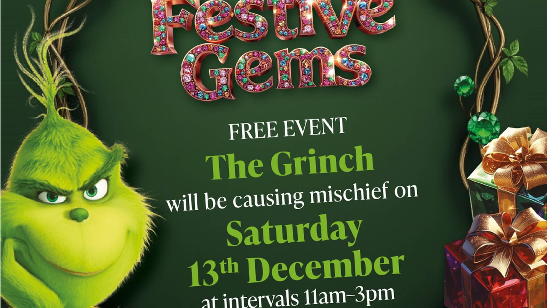 Meet the Grinch!  photo