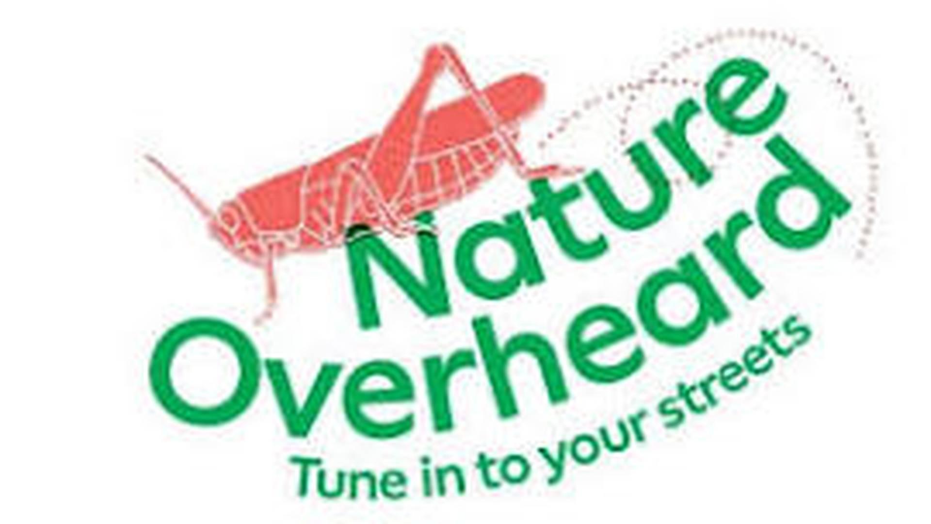 Children's Workshop - Nature Overheard: Tune in to your streets photo