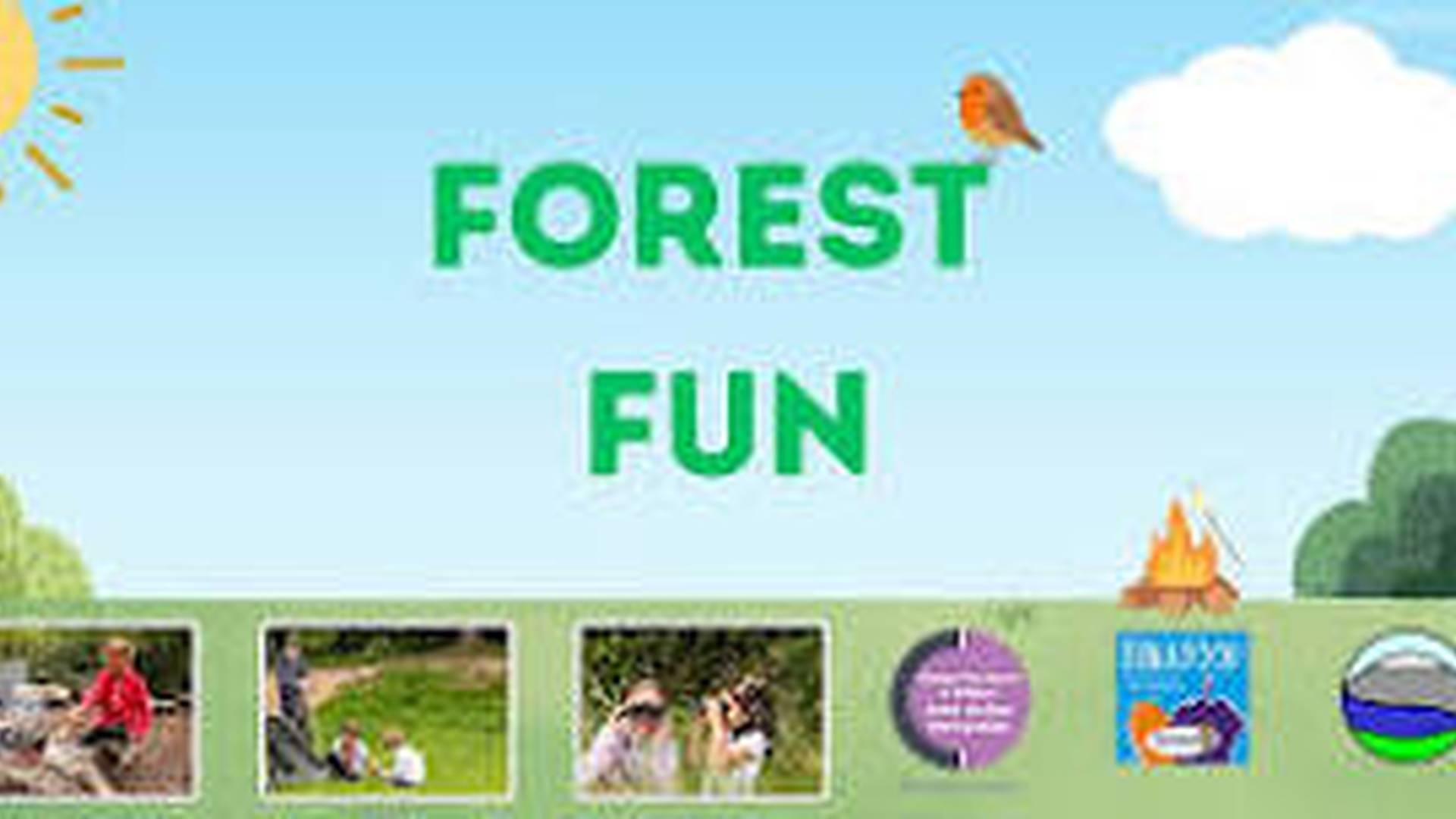 Forest Fun - Thornhill Primary School photo