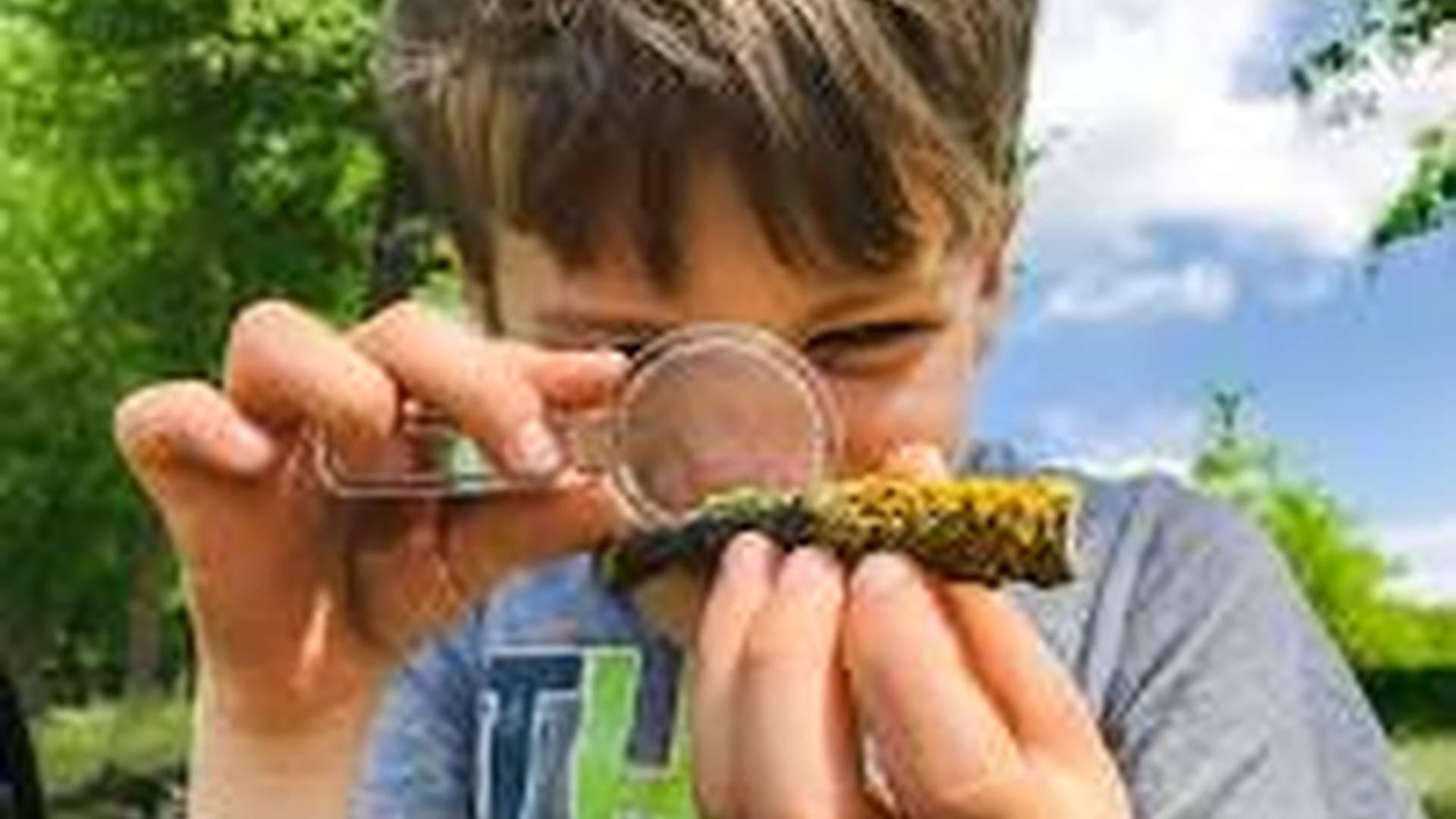 Nature Club: Animal Senses photo