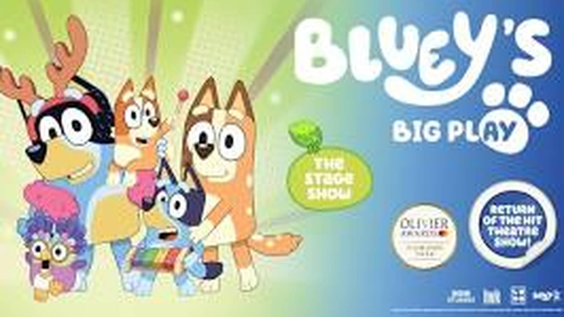 BLUEY'S BIG PLAY photo