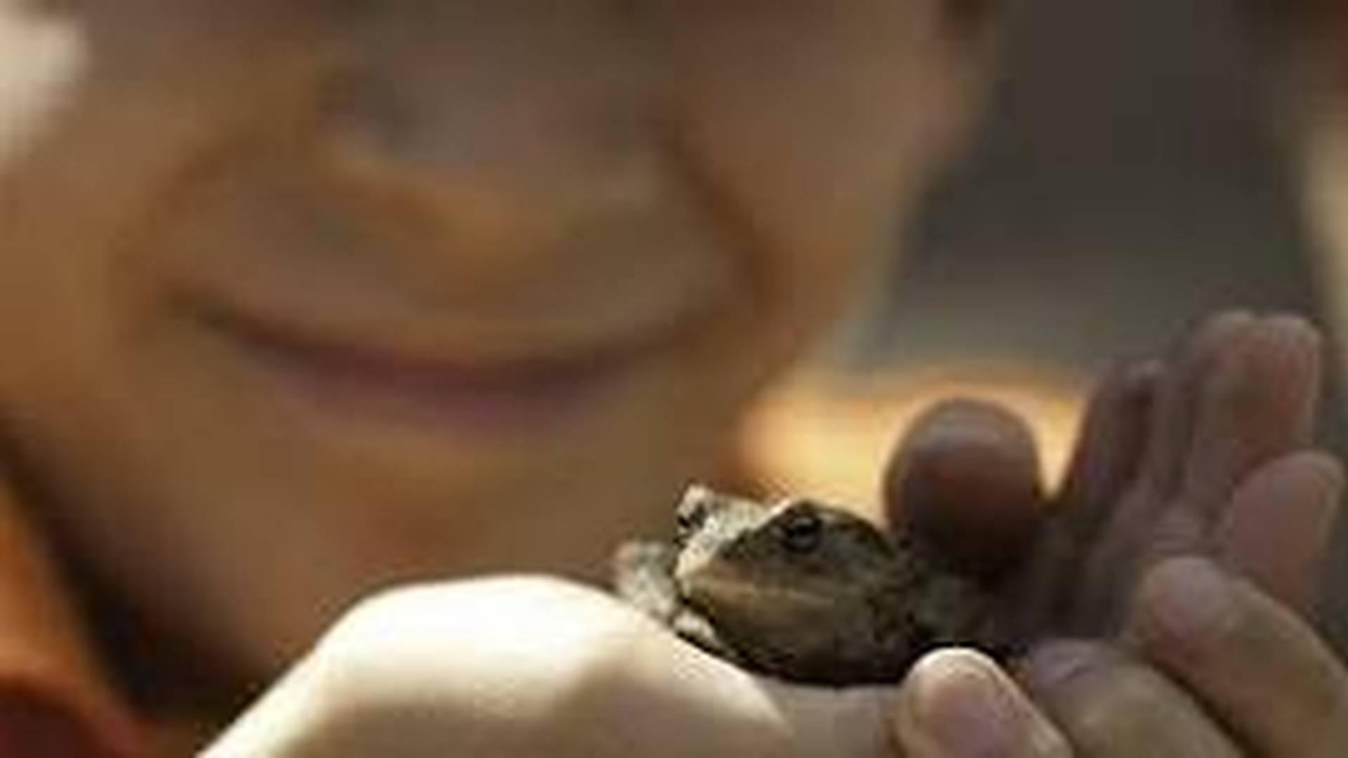 SENsory Explorers at Centre for Wildlife Gardening photo