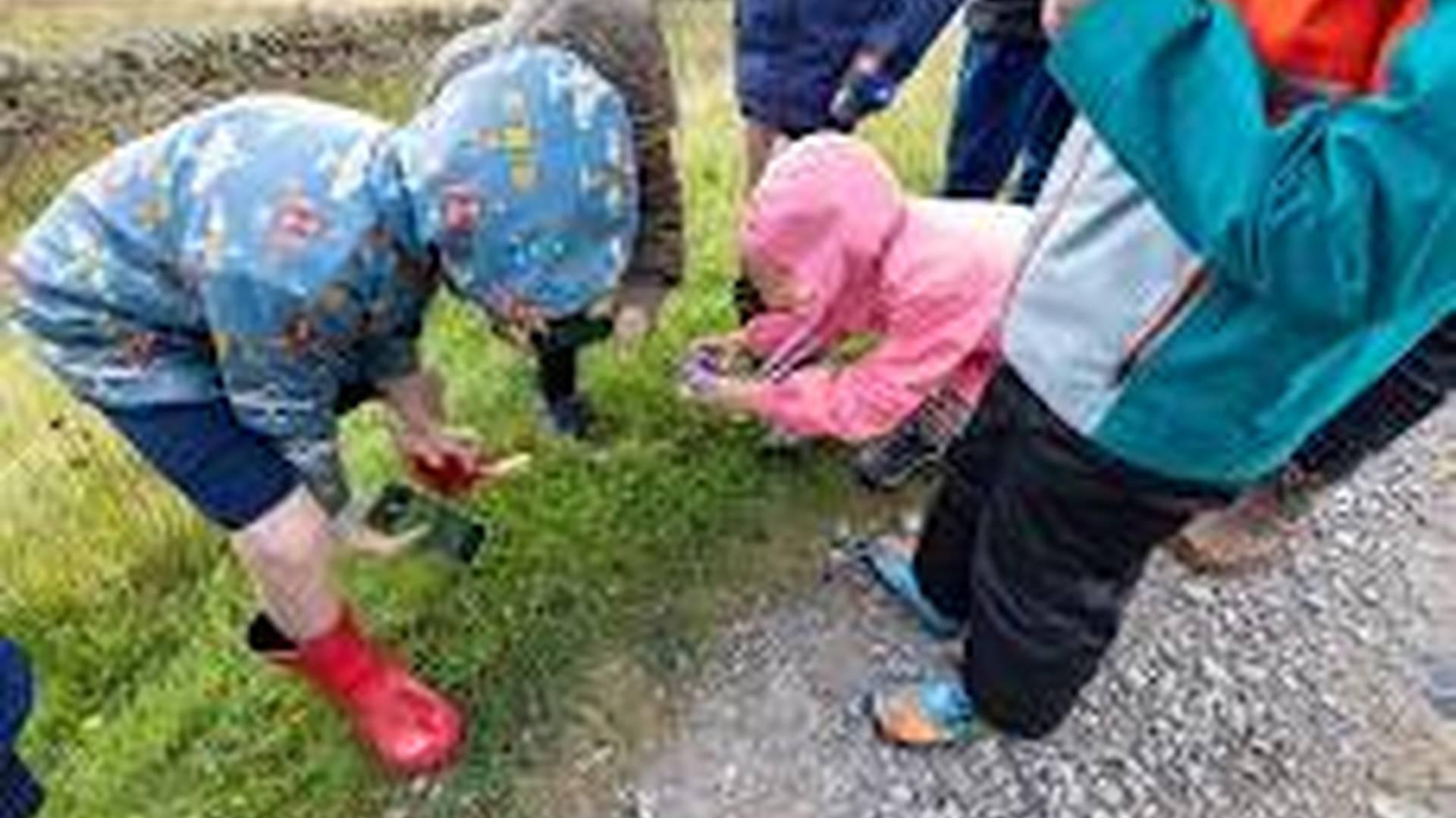 Nature Photography - FREE Community Event photo