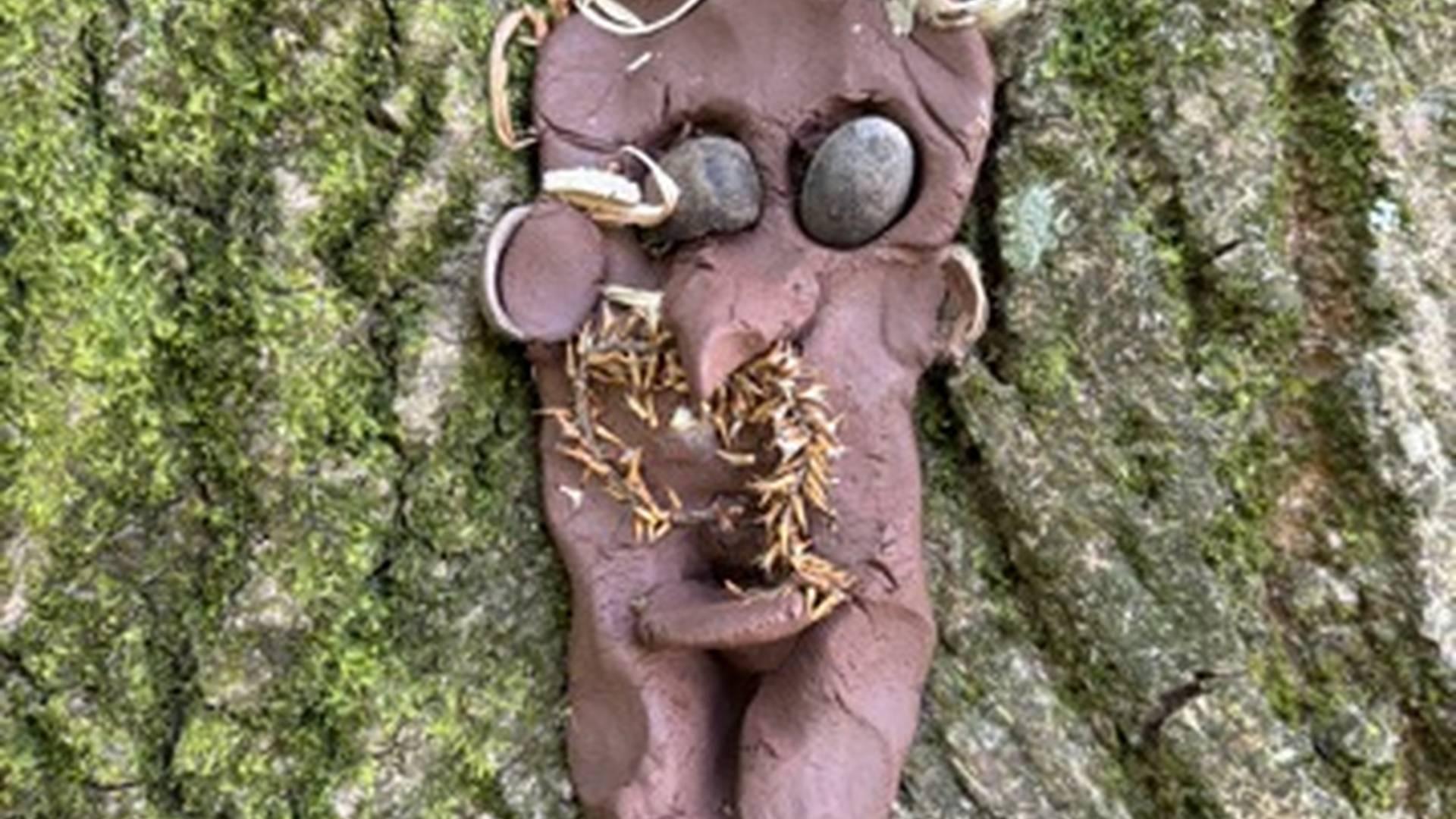 Forest School Day by Forest Yogi Minds photo