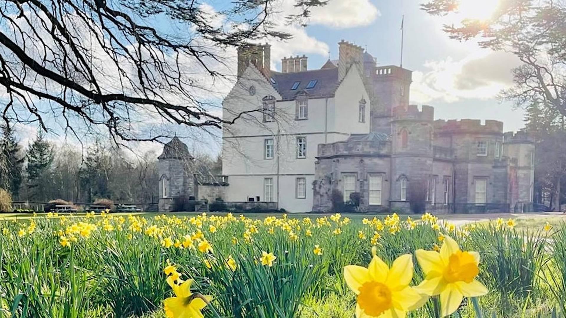 Winton Castle Garden Open Day photo