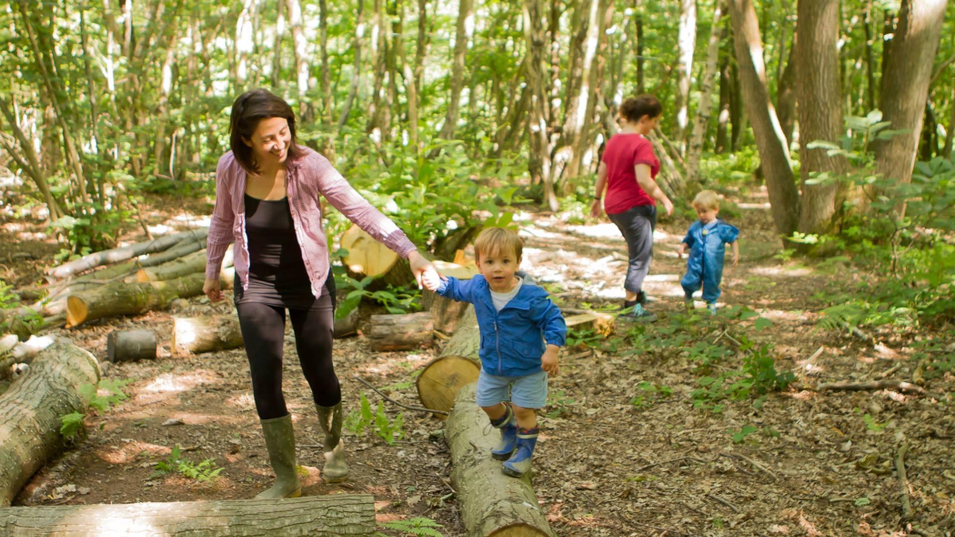 Kent Wildlife Trust photo