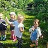 Activity image