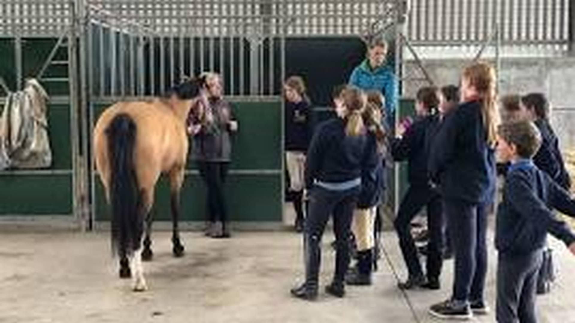 Lindores Equestrian – Kids Pony Camp (11-17yrs) photo