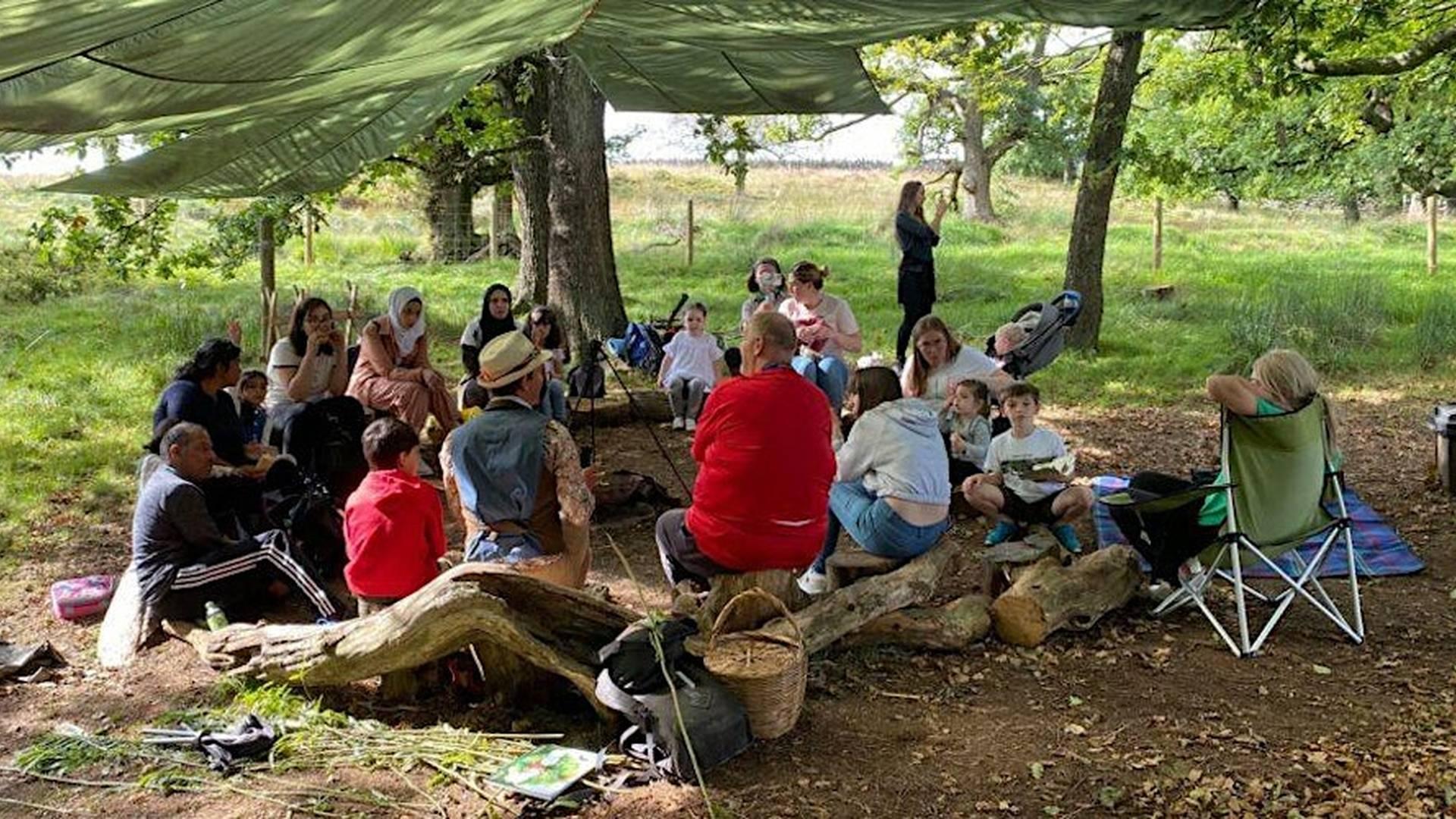 Forest Family Fun photo