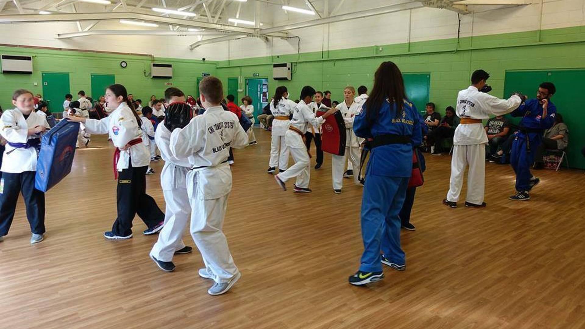 Chi Combat System photo