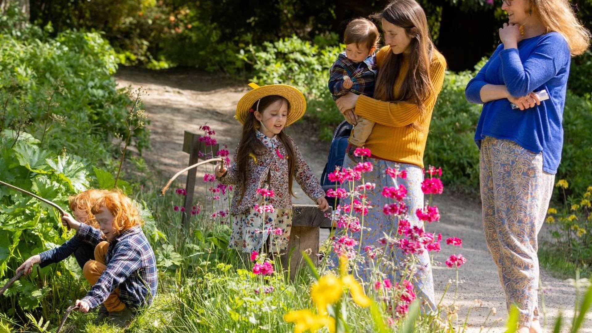 Leonardslee Lakes & Gardens photo
