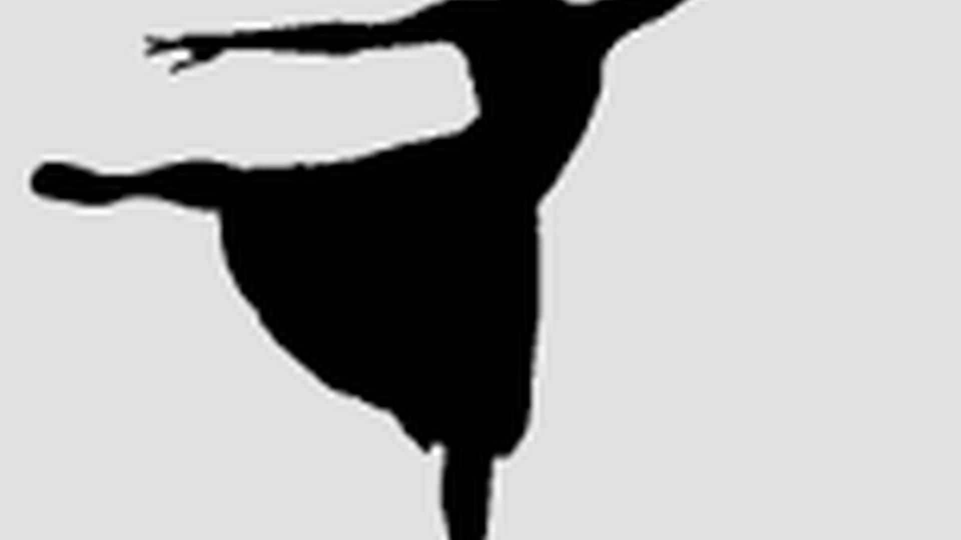 Les Ballets Trockadero: Theatre Royal photo