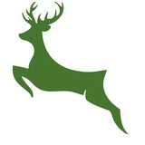 Nottinghamshire Cricket Board logo